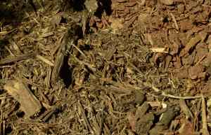 mulch